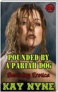 Pounded By A Pariah Dog