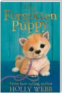 The Forgotten Puppy