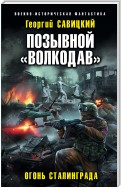 Позывной «Волкодав». Огонь Сталинграда