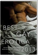 Best Gay Erotica 2013