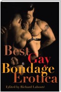 Best Gay Bondage Erotica