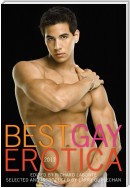 Best Gay Erotica 2012