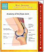 Knee Anatomy Speedy Study Guides