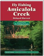 Fly Fishing Amicalola Creek, Delayed Harvest