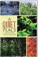 A Quiet Place