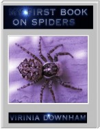 My First Book On Spiders