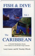 Fish & Dive the Caribbean V1