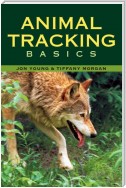 Animal Tracking Basics