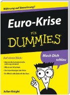 Euro-Krise für Dummies