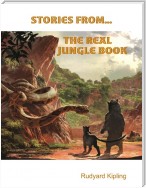 Stories from the Real Jungle Book