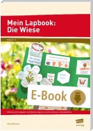 Mein Lapbook: Die Wiese