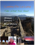 Camino De La Luna - Take What You Need (Without Pictures)