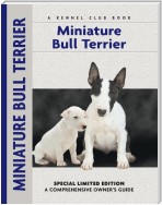 Miniature Bull Terrier