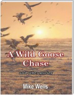 A Wild Goose Chase: And Other Stories