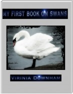 My First Book on Swans