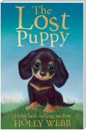 The Lost Puppy