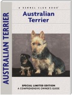 Australian Terrier