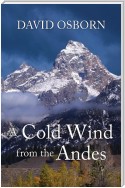 A Cold Wind from the Andes