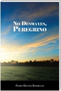 No Desmayes, Peregrino