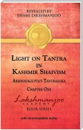 Light on Tantra in Kashmir Shaivism