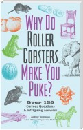 Why Do Roller Coasters Make You Puke