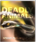 Deadly Animals in the Wild