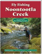 Fly Fishing Noontootla Creek