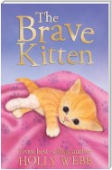 The Brave Kitten