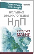 Большая энциклопедия НЛП. Структура магии