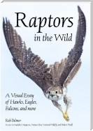 Raptors in the Wild