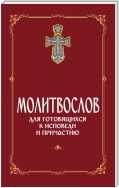 Молитвослов для готовящихся к Исповеди и Причастию (с раздельными канонами)