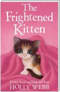 The Frightened Kitten