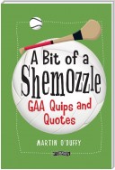 'A Bit Of A Shemozzle’