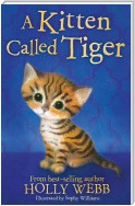 A Kitten Called Tiger