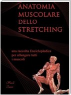 Anatomia Muscolare dello Stretching