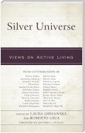 Silver Universe