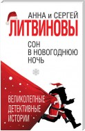 Сон в новогоднюю ночь (сборник)