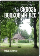 Сквозь Bookовый лес. Роман-обретение