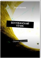 Белужинский узник. Сборник рассказов