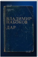 Комментарий к роману Владимира Набокова «Дар»