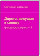 Дорога, ведущая к солнцу. Гражданская лирика – 3