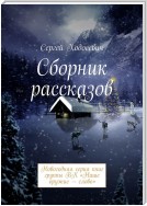 Сборник рассказов. Новогодняя серия книг группы ВК «Наше оружие – слово»