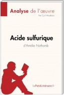 Acide sulfurique d'Amélie Nothomb (Analyse de l'oeuvre)