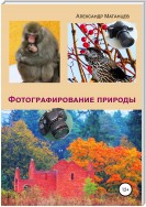 Фотографирование природы