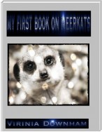 My First Book on Meerkats
