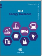 2014 Energy Balances