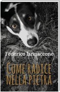 Come radice nella pietra