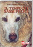 Il tempo dei sassi felici