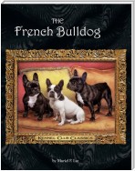 The French Bulldog