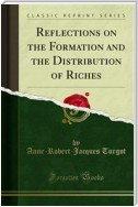 Reflections on the Formation and the Distribution of Riches